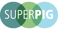 SuperPig
